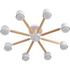 8306/8C Светильник потолочный GX53 LED 56W 220V Lumion VUDI