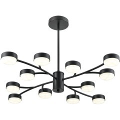 Люстра GX53 Lumion TORINA 8117/12