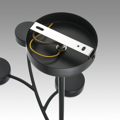 Люстра GX53 Lumion TORINA 8117/12