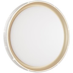 Настенно-потолочный светильник светодиодный для ванной с пультом регулировкой цветовой температуры и яркости ночным режимомShiny 3054/EL IP43