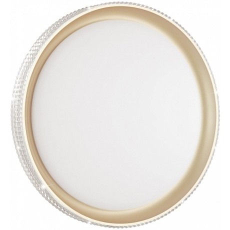 Настенно-потолочный светильник светодиодный для ванной с пультом регулировкой цветовой температуры и яркости ночным режимомShiny 3054/EL IP43