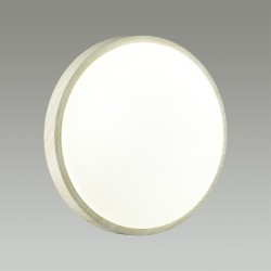 Настенно-потолочный светильник Sonex 7628/DL LOSTA IP43 светодиодный LED 48W