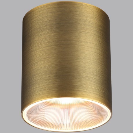 Потолочный светильник IP20 LED 12W 960Лм 3000K/4000K/6000K 36° 220-240V BRIM 7137/12CL