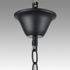 Люстра Е14 Lumion NANA 8106/8