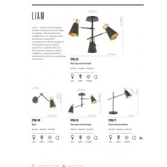 Интерьерная настольная лампа Liam 3790/1T