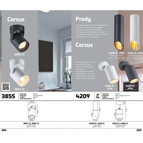 Уличный потолочный светильник Odeon Light 4207/1C CORSUS IP54 под лампу 1xGU10 10W
