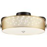 Потолочный светильник LED 40W 4000К Lumion DRUMY 6597/40L