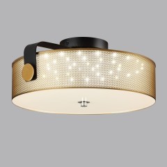 Потолочный светильник LED 40W 4000К Lumion DRUMY 6597/40L