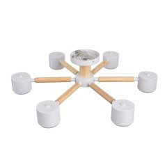 8306/6C Светильник потолочный GX53 LED 6*7W 220V Lumion VUDI