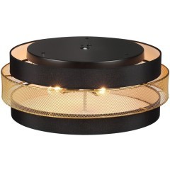 Потолочный светильник Е27 Lumion ANIMAISA 8003/6C