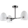 Люстра потолочная Lumion KENDALL 6513/3C