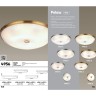 Настенно-потолочный светильник Odeon Light 4956/2 PELOW под лампы 2xE14 2*40W