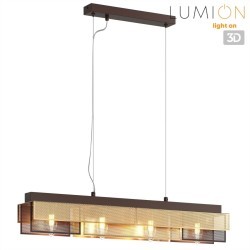 Подвесной светильник Е14 Lumion DANA 8005/4A