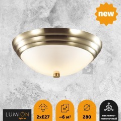Настенно-потолочный светильник Lumion 5262/2C KAYLA под лампы 2xE27 2*60W