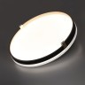 Светильник LED 70Вт 3000-6000К D490 IP43 пульт ДУ Sonex OLIDI BLACK 7647/EL