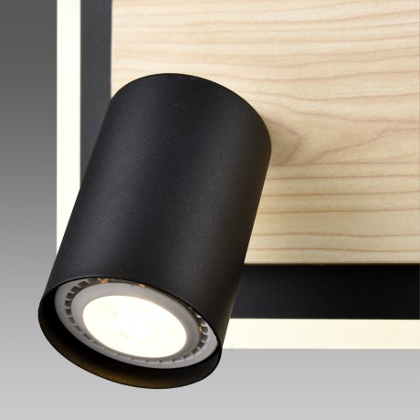 Настенный светильник LED GU10 2*10W + LED 19W 220V PINE Lumion 8025/19WL 