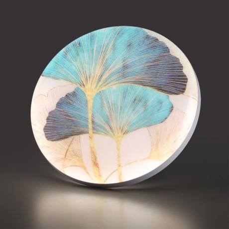 7747/EL PALE SN Светильник светодиодный потолочный пластик/белый/мульти LED 70Вт 3000-6000К D480 IP43 пульт ДУ FLOREN