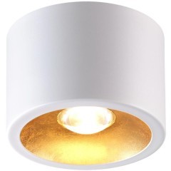 Потолочной накладной светильник Novotech GLASGOW (вместо 3877/1CL) 6668/1CL