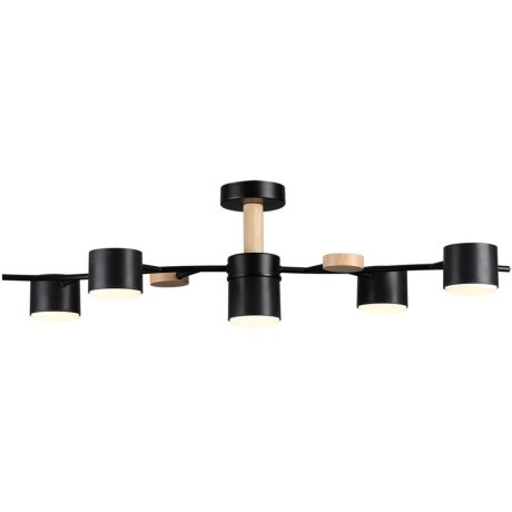 Потолочный светильник GX53 Lumion CRYPTO 8194/5C