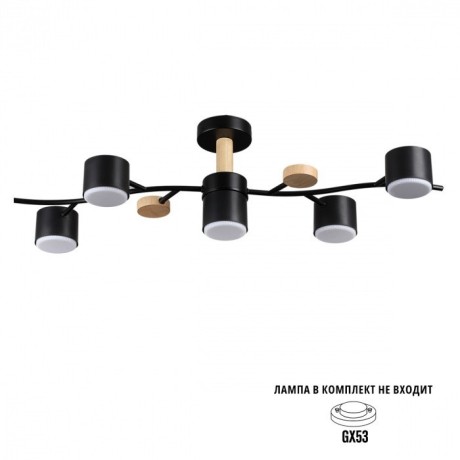 Потолочный светильник GX53 Lumion CRYPTO 8194/5C