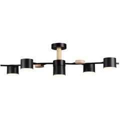 Потолочный светильник GX53 Lumion CRYPTO 8194/5C