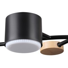 Потолочный светильник GX53 Lumion CRYPTO 8194/5C