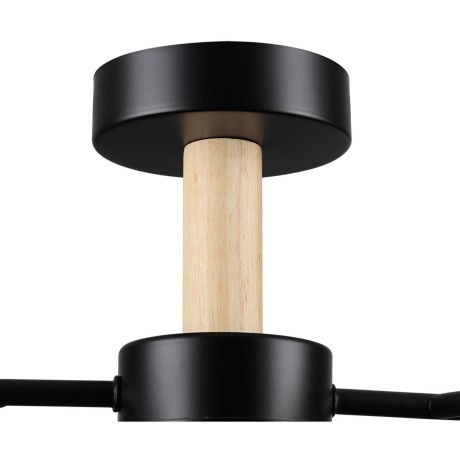 Потолочный светильник GX53 Lumion CRYPTO 8194/5C