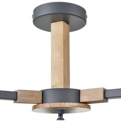 Люстра потолочная Е27 Lumion COLANGE 8096/3C