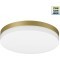 Novotech OPAL STREET 359733 Уличный круглый настенно-потолочный LED-светильник, 20/25/30Вт, до 3140Лм, CCT перекл. цветовой температуры внутри корпуса 2700/3200/4000К, угол 120°, CRI90, 180-265В, IP65, золотой поликарбонат, диаметр 264 мм, высота 45 мм