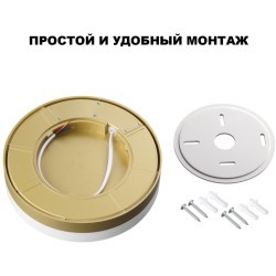 Novotech OPAL STREET 359733 Уличный круглый настенно-потолочный LED-светильник, 20/25/30Вт, до 3140Лм, CCT перекл. цветовой температуры внутри корпуса 2700/3200/4000К, угол 120°, CRI90, 180-265В, IP65, золотой поликарбонат, диаметр 264 мм, высота 45 мм