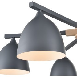 Люстра потолочная Е27 Lumion COLANGE 8096/6C