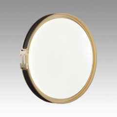 Настенно-потолочный светильник СОНЕКС FAVEMO BLACK 7667/EL