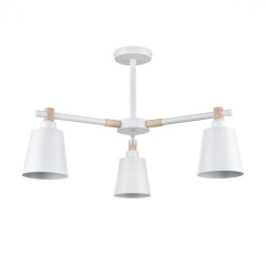 Люстра потолочная Е27 Lumion ROSALINA 8097/3C