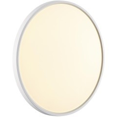 Настенно-потолочный светильник СОНЕКС Sonex ALFA WHITE 7659/40L