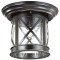 Уличный потолочный светильник Odeon Light 4045/1C SATION IP44 под лампу 1xE27 60W