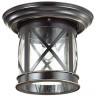 Уличный потолочный светильник Odeon Light 4045/1C SATION IP44 под лампу 1xE27 60W