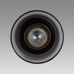 Подвес Е14 Lumion ISHA 8101/1A