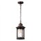 Уличный подвесной светильник Odeon Light 4961/1 MAVRET IP44 под лампу 1xE27 1*60W