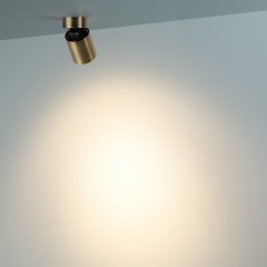 Потолочный светильник IP20 LED 7W 75Лм 3000K 36° 220-240V TURNO 7131/7CL