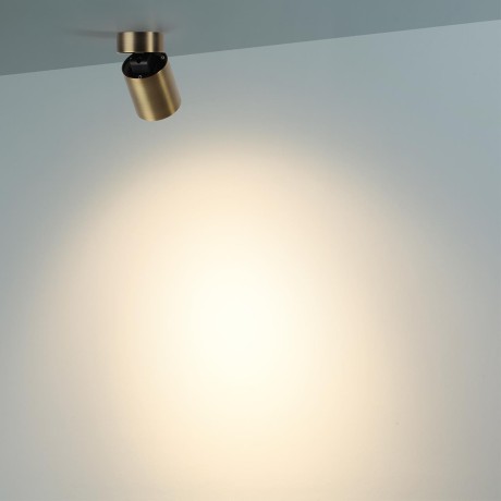 Потолочный светильник IP20 LED 7W 75Лм 3000K 36° 220-240V TURNO 7131/7CL