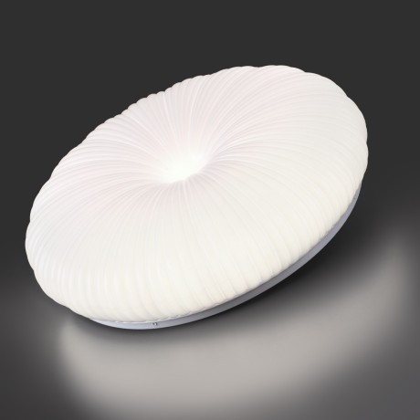 Настенно-потолочный светильник СОНЕКС Sonex ANIX 7678/FL