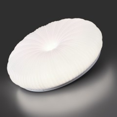 Настенно-потолочный светильник СОНЕКС Sonex ANIX 7678/FL