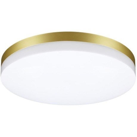 Уличный потолочный светильник Novotech 358892 OPAL IP54 светодиодный LED 40W