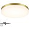 Уличный потолочный светильник Novotech 358892 OPAL IP54 светодиодный LED 40W